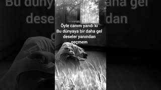 Hayat Uzak Dur Benden..