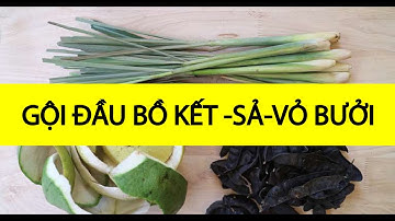 🎯Gội đầu Bồ Kết-Sả-Vỏ Bưởi | Tóc dày, bóng mượt, hết rụng | Làm đẹp từ thiên nhiên