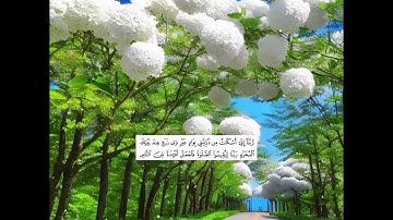 سورة إبراهيم طور عراقي🇮🇶 حزين😢