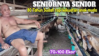 Seniornya Senior Mbah Rusimin 80 Tahun Ternak Kambing 70100 Ekor