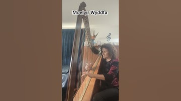 Moel yr Wyddfa - gol. Robin Huw Bowen #telyn #harp #cymru #wales #tripleharp