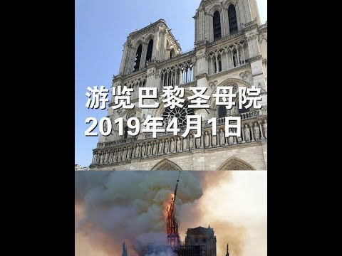 视频：2019年4月1日本人游览巴黎圣母院纪实