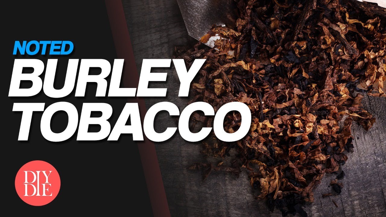 tobacco use can lead to weakened blood vessels because it Effects of Smoking on Cardiovascular Health