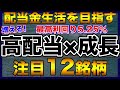 【高配当株】配当金生活を目指す高配当×成長の注目12銘柄【配当金】【不労所得】