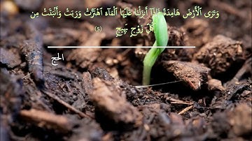 ( وترى الأرض هامدة فإذا أنزلنا عليها الماء اهتزت وربت ) .. الآية 5 من سورة الحج