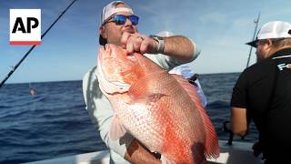 Fishing season off Florida tests Trump’s push to deregulate US seas