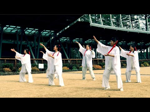 Video: Tai Chi: акыл үчүн көнүгүү