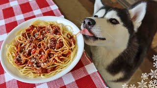 We Made Spaghetti For Dogs | DIY Dog Treats