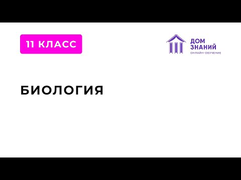 11 класс. Биология. Макашарипова М.Р. "Основные экологические проблемы современности"