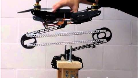 Avian-Inspired Graspers for Flying Robots