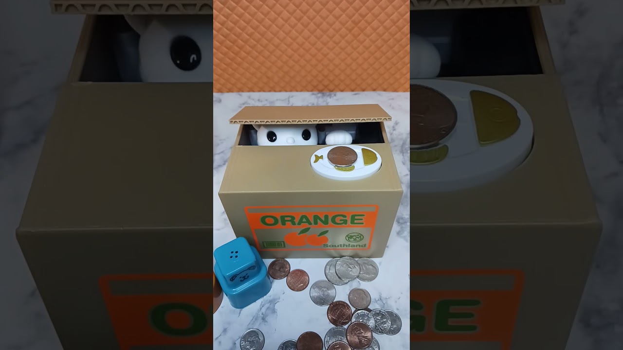 Super Cool kitty cat saving money 💰 piggybank