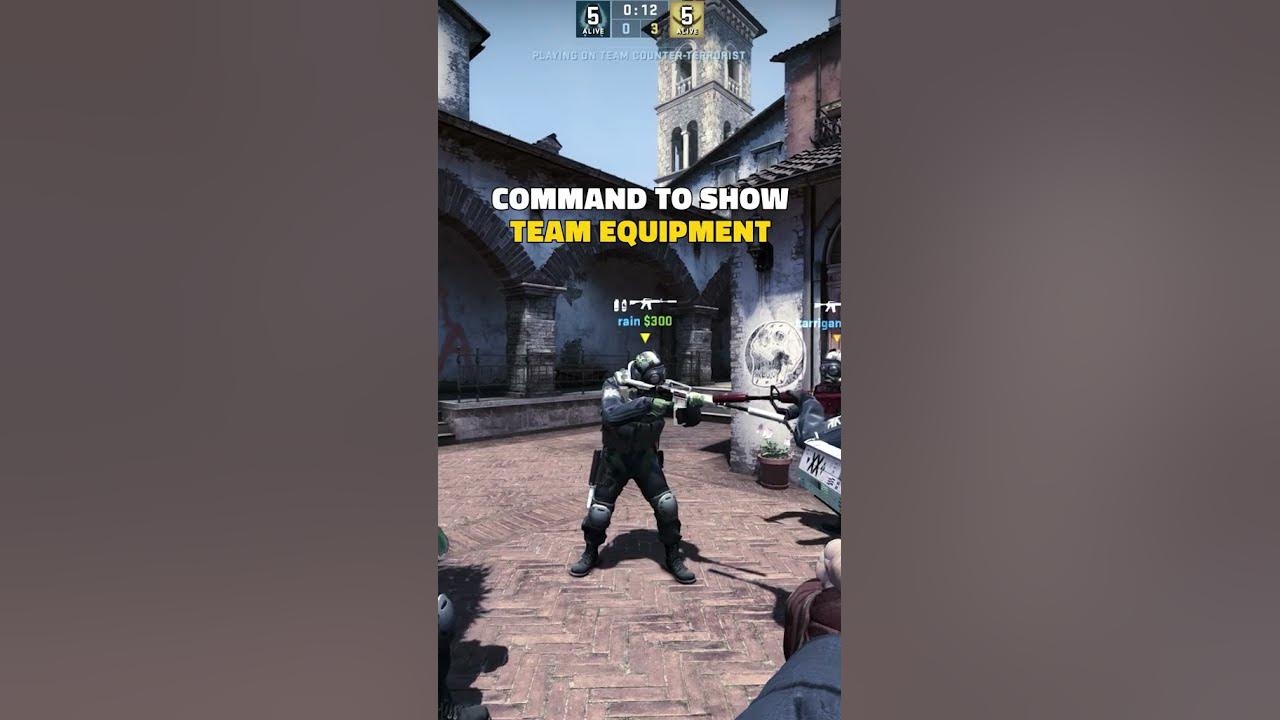 Use this command to show what weapon and utility your teammates are