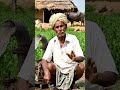 Indian Farmer Fixes Old Water Pump Like a Pro 💪💧 | Emotional Village Scene