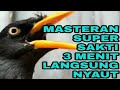 🔴 MASTERAN SAKTI JALAK KEBO || 1 JT % LANGSUNG NYAUT