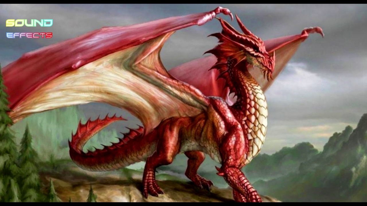 Picture Of Dragon 3