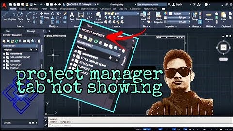 autocad project manager tab not showing| autocad electrical 2021|autocad workspace settings