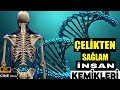 KEMİKLERİMİZ ÇELİKTEN DAHA SAĞLAM OLSAYDI | GENOM PROJESİ