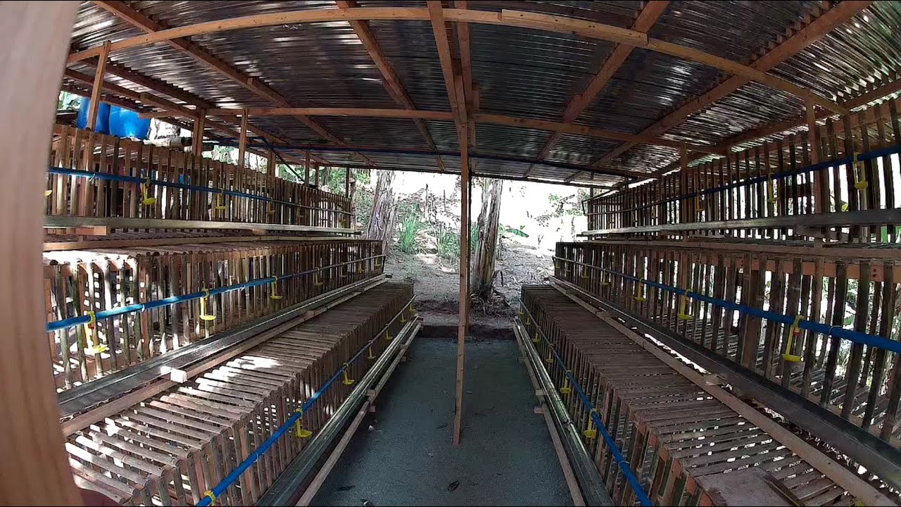 layerCage bambooLayerChickenCage Amazing made of wood and bamboo