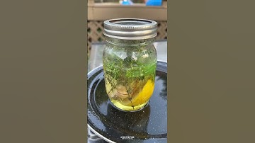 Perfect Steak Crust | Over The Fire Cooking by Derek Wolf