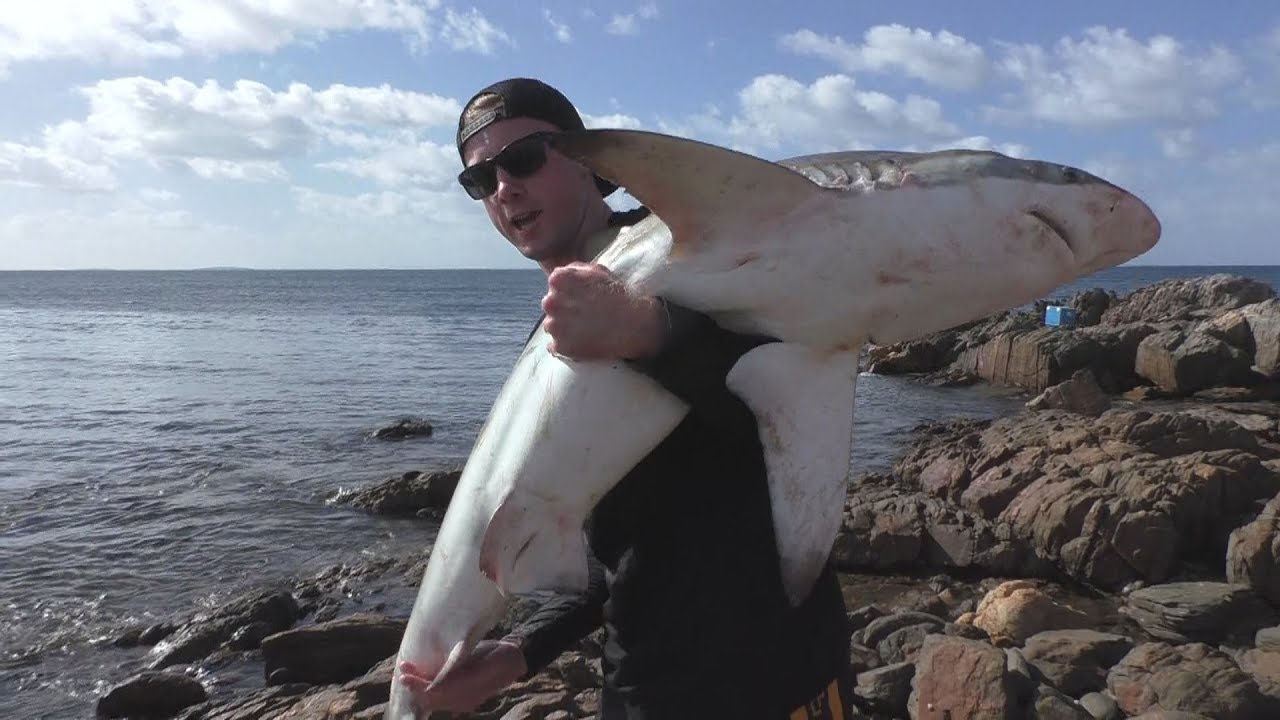 Catching Sharks Off The Rocks Using a Balloon Rig 