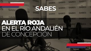 Alerta Roja en el río Andalién de Concepción
