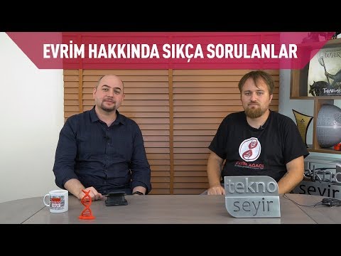 Evrim Teorisi Hakkında Sıkça Sorulan Sorular