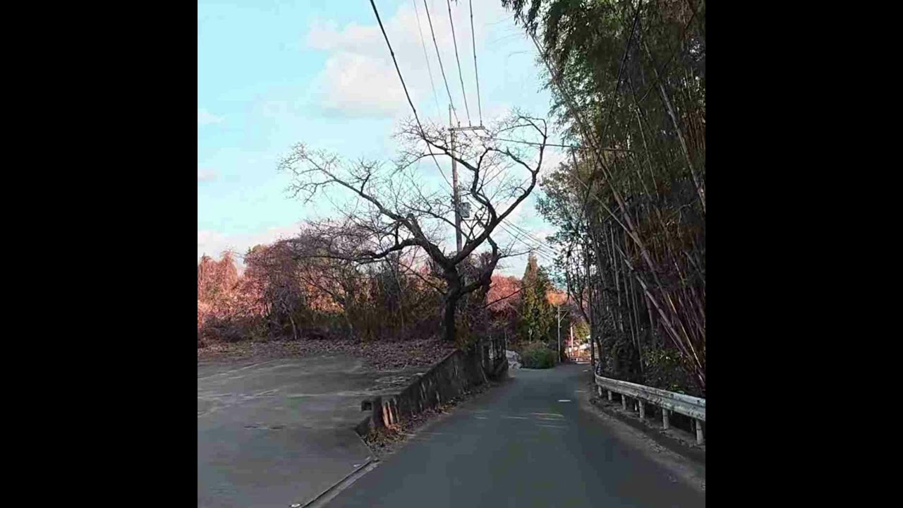 [free] lil peep x emo trap x bones type beat "disconnect" [prod. pinomin]