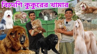 Biggest Dog From in Bangladesh | Dog price in Bangladesh | Big Dog