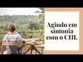 79 - Agindo em sintonia com o CHI.