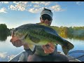 Monster largemouth bass release