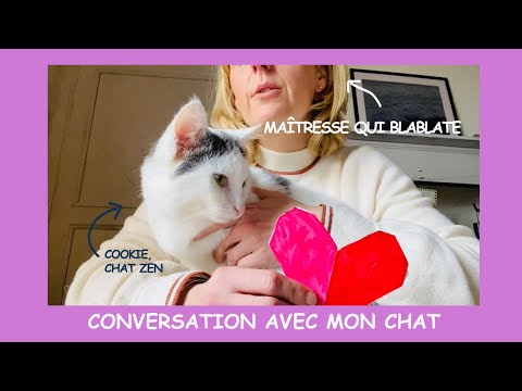 Conversation avec mon chat - Chat 99