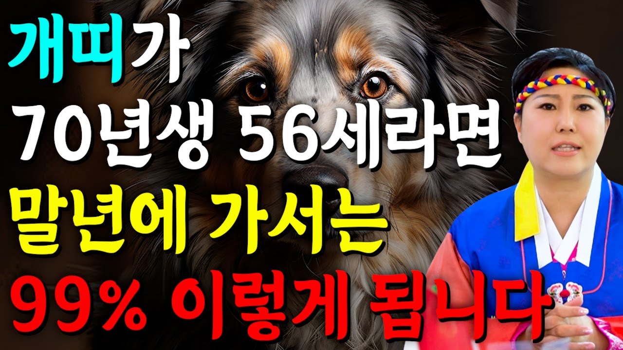 고생했다 우리 개띠..!! 2026년 1970년생 56세 개띠운세 배신당했던 모든날을 보답받습니다! 70년생 개띠의 운명과 평생의 운세 / 2026년 병오년 56세 개띠 운세