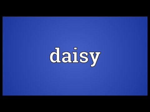 Daisy Meaning You