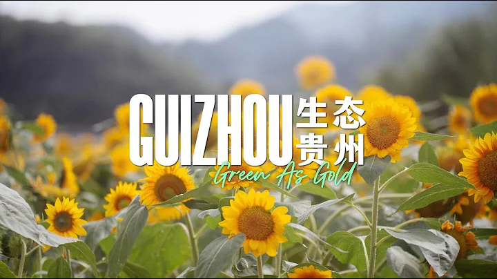 Documentary | Guizhou: Green As Gold [4K] - DayDayNews