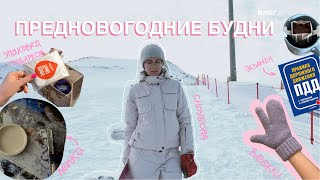 мои предновогодние будни (да, я знаю, что сейчас конец февраля)