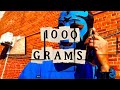 💥 1000 Grams – Gustavo Louis (Narco Spin on Freddie Gibbs & The Alchemist’s “A Thousand Mountains”)