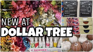 DOLLAR TREE SHOP WITH NEW • new fall finds