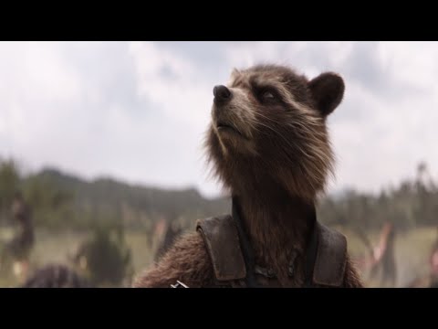 avengers:infinity-war---all-rocket-raccoon's-lines