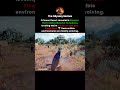 Crimson Desert revealed a Weapon That Creates Massive Tornadoes, leveling entire Houses In Just One