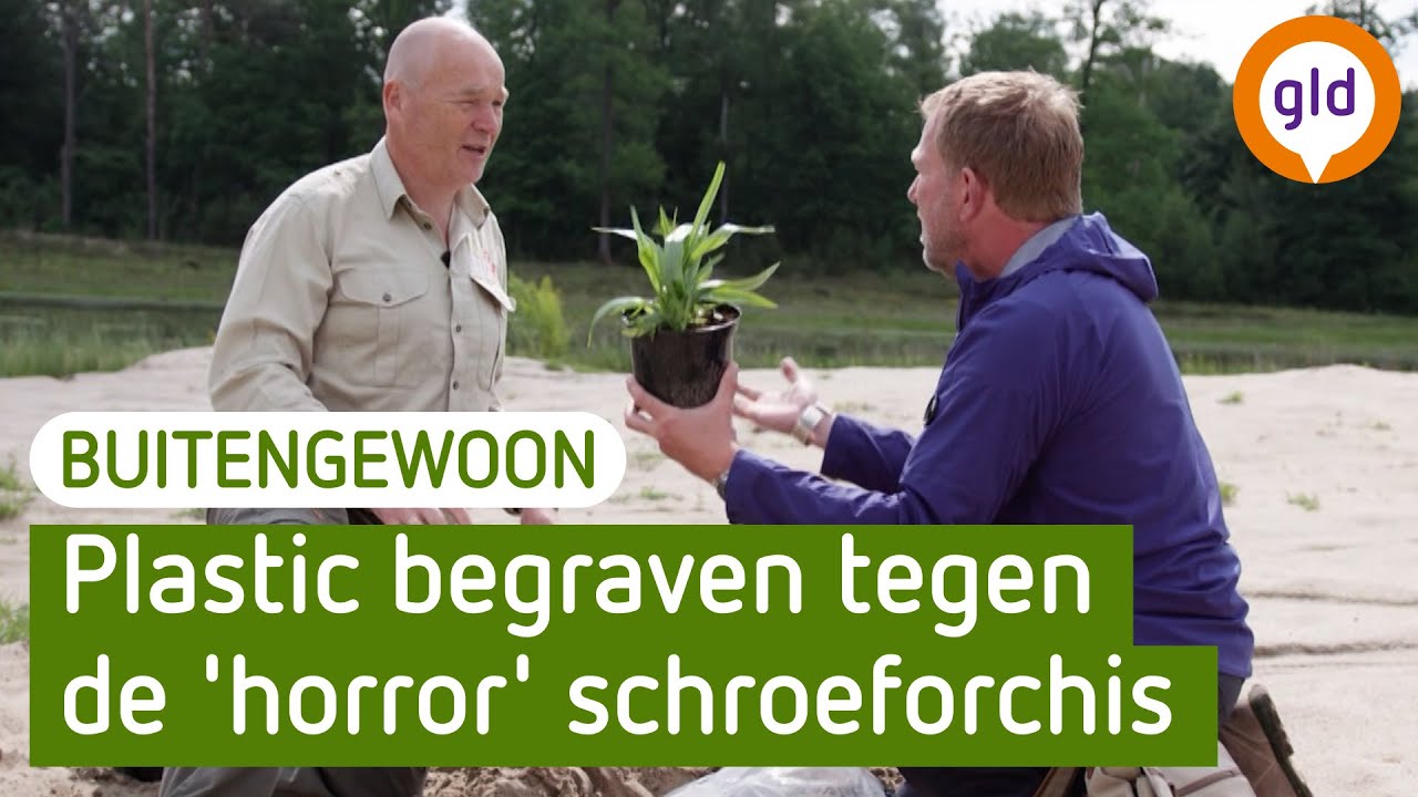 Uitheemse tuinplanten: een ramp voor de biodiversiteit | BuitenGewoon