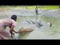 Wow!! You Never Seen!! Wonderful Fishing : Village People Big Fish Catching By Cast Net in The Pond