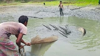 Wow!! You Never Seen!! Wonderful Fishing : Village People Big Fish Catching By Cast Net in The Pond