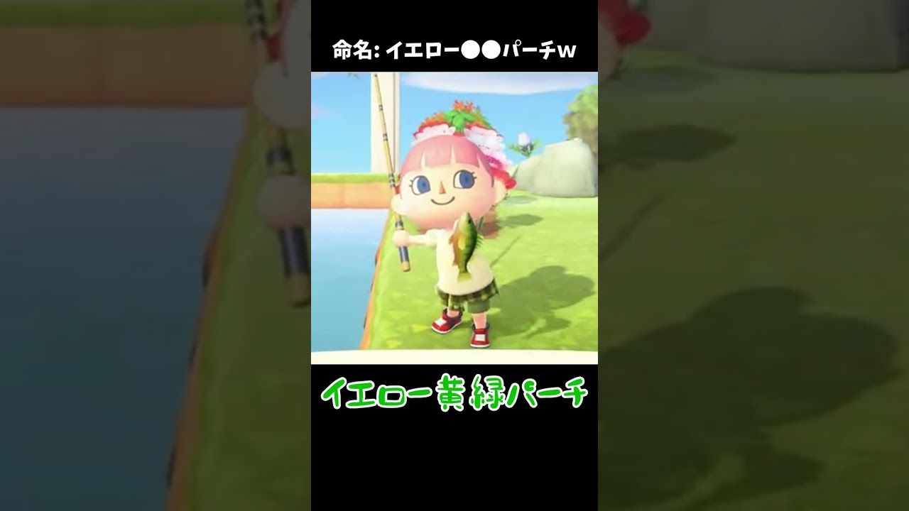 新しい名前を付けましたｗ 