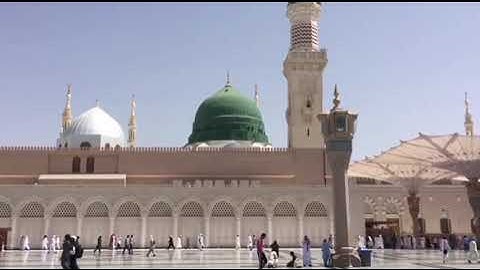 تلاوة صباحية  ﴿سيقولون ثلاثة رابعهم كلبهم ﴾ الكهف - القارئ : صلاح البدير