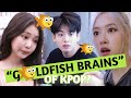 5 "goldfish brain" KPOP idols & their iconic moments