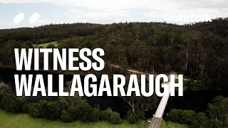 Forest Meditation - Wallagaraugh - Vol. II