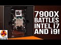 AMD Ryzen 9 7900X Review - it's a dog fight!