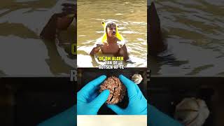 Download Lagu DAG 201: De zee-egel! Uiteraard eten veel Aziaten deze zeewezen MP3 Download Lagu DAG 201: De zee-egel! Uiteraard eten veel Aziaten deze zeewezen MP3