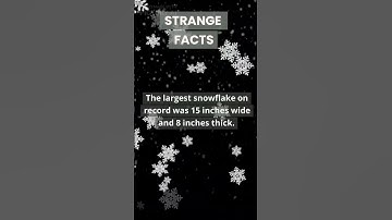 The Largest  snowflake #shortvideo #shorts