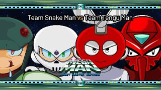 Snake Man vs Tengu Man Mega Man Robot Master Mayhem Mugen